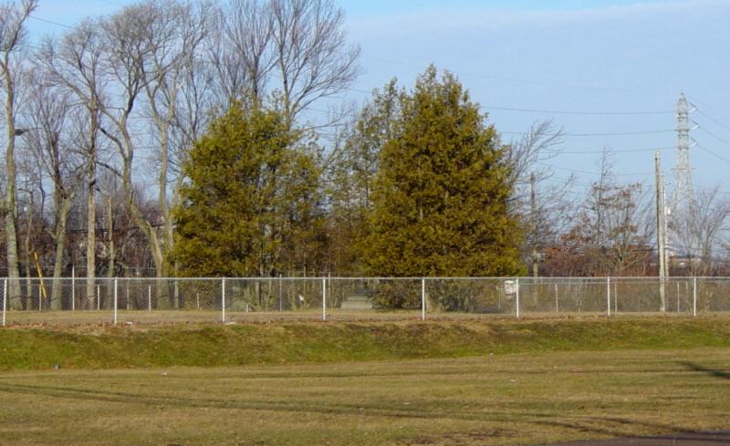 Halifax: memorial, unidentified dead, Halifax Explosion, 6 December 1917