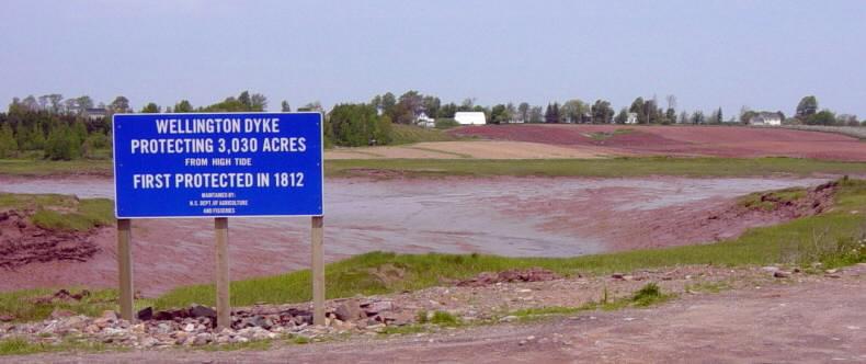 Wellington Dyke at low tide