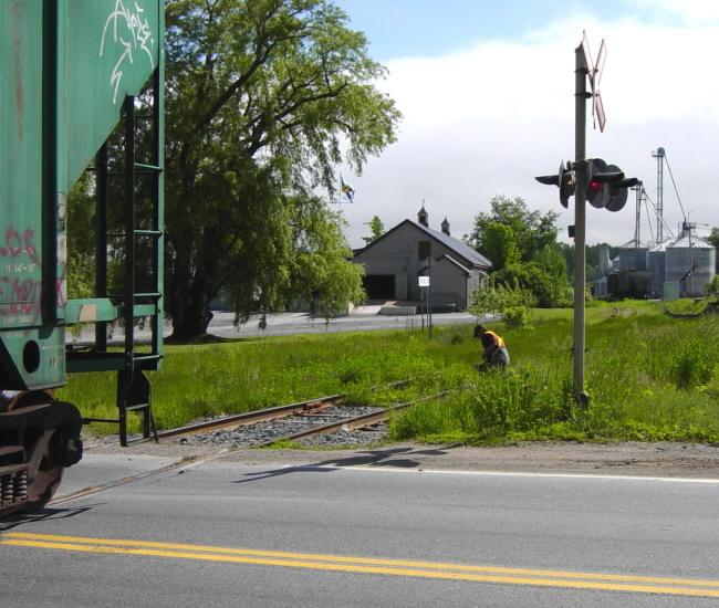 W&HR: Train to New Minas