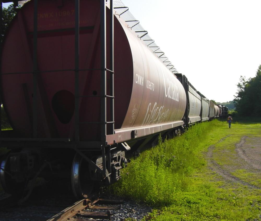 W&HR: Train to New Minas, 27 June 2007