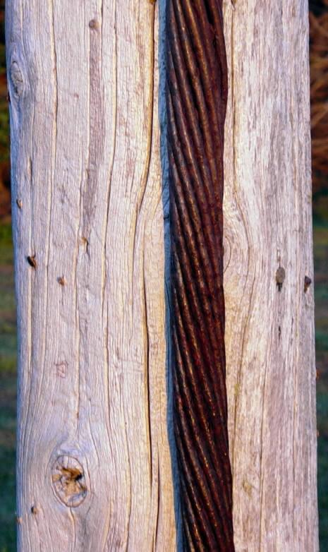 Cabot Strait cable: a surviving length of undersea telegraph cable